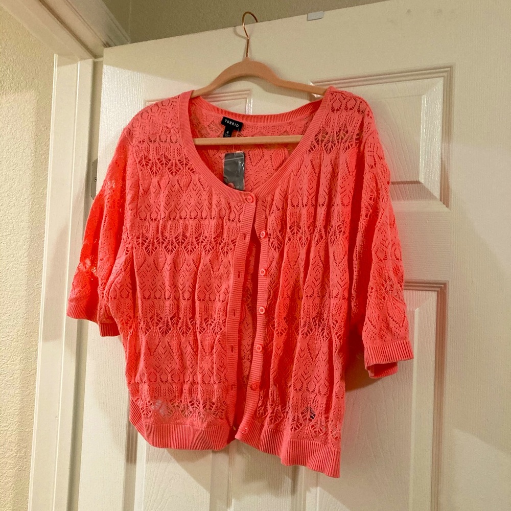 Torrid lightweight crop sweater